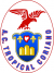 logo San Marino Academy